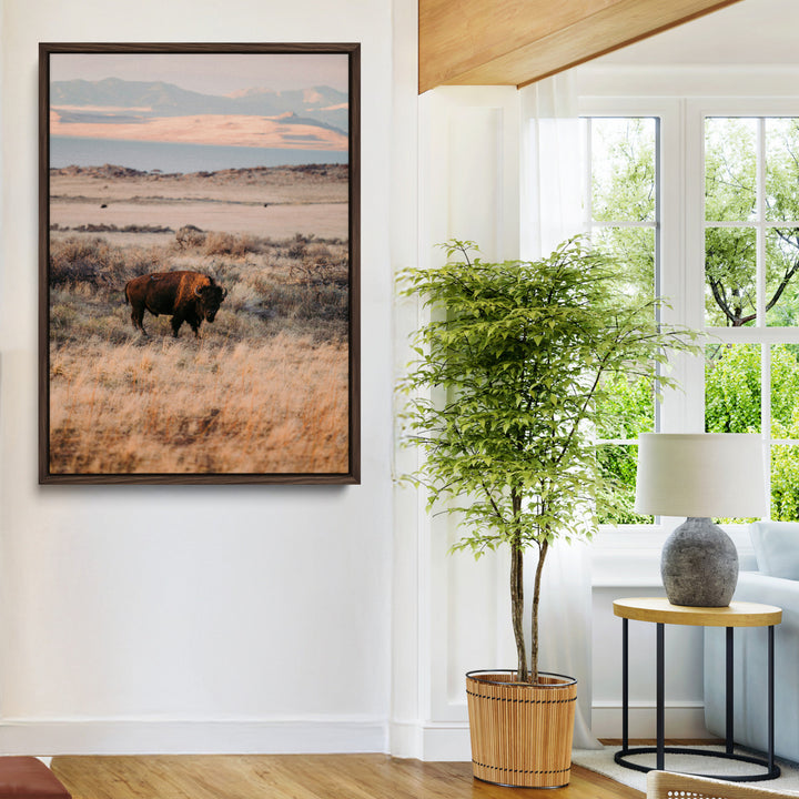 Solitary Buffalo Wall Art Canvas Print, Framed Golden Prairie Art Picture Print, Earthy Tones Perfect Rustic Western Decor Artwork