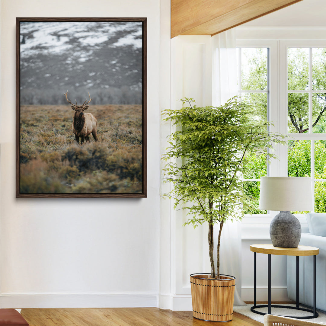 Wild Elk Wall Art Canvas Print, Mountain Wilderness Print, Framed Majestic Animal Art Print, Large Rustic Wildlife Wall Art Printing