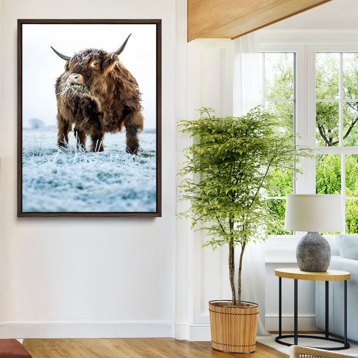 Minimalist Scottish Highlang Cow Wall Art Canvas Print for Farmhouse / County Style Art Print for Living Room - Office Decor