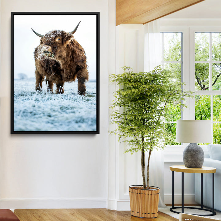 Minimalist Scottish Highlang Cow Wall Art Canvas Print for Farmhouse / County Style Art Print for Living Room - Office Decor