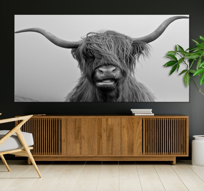 Texas Cow Wall Art Canvas Print