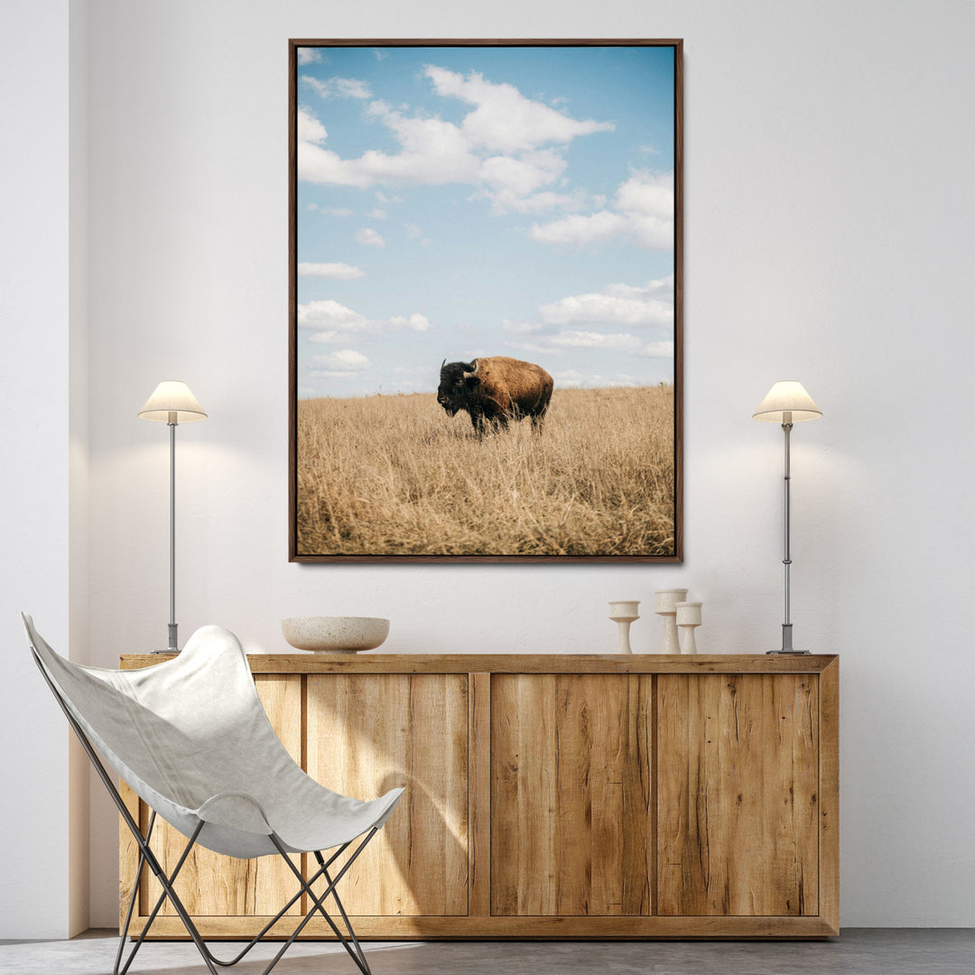 Bison Photography Wall Art Canvas Print: Framed Western Landscape Art