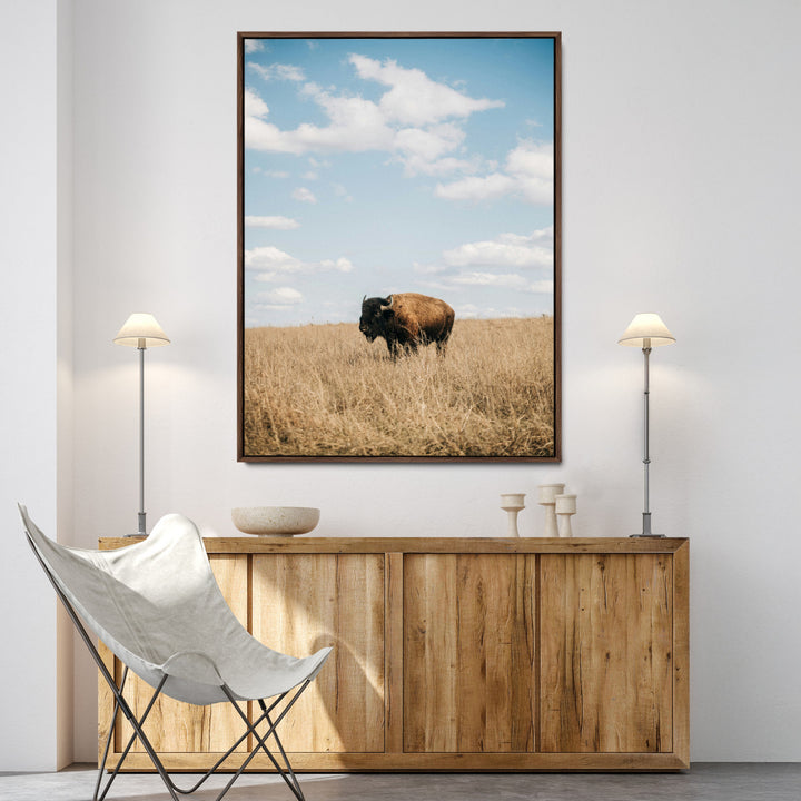 Bison Photography Wall Art Canvas Print: Framed Western Landscape Art
