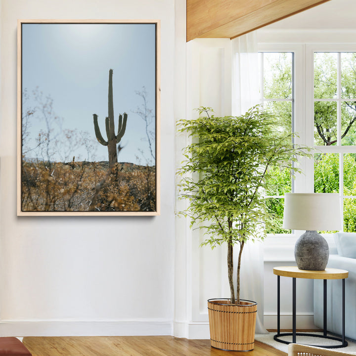 Saguaro Cactus Wall Art Canvas Print