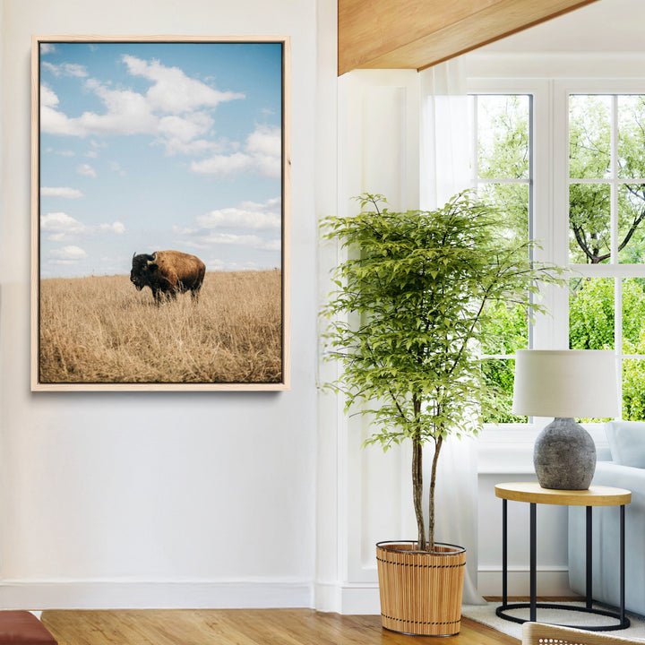 Bison Photography Wall Art Canvas Print: Framed Western Landscape Art