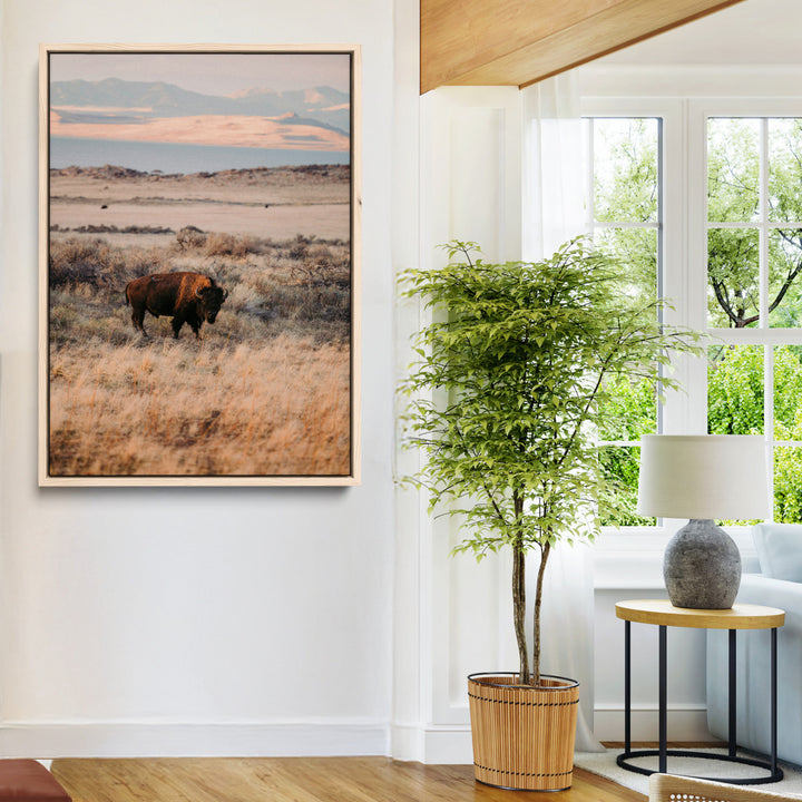 Solitary Buffalo Wall Art Canvas Print, Framed Golden Prairie Art Picture Print, Earthy Tones Perfect Rustic Western Decor Artwork