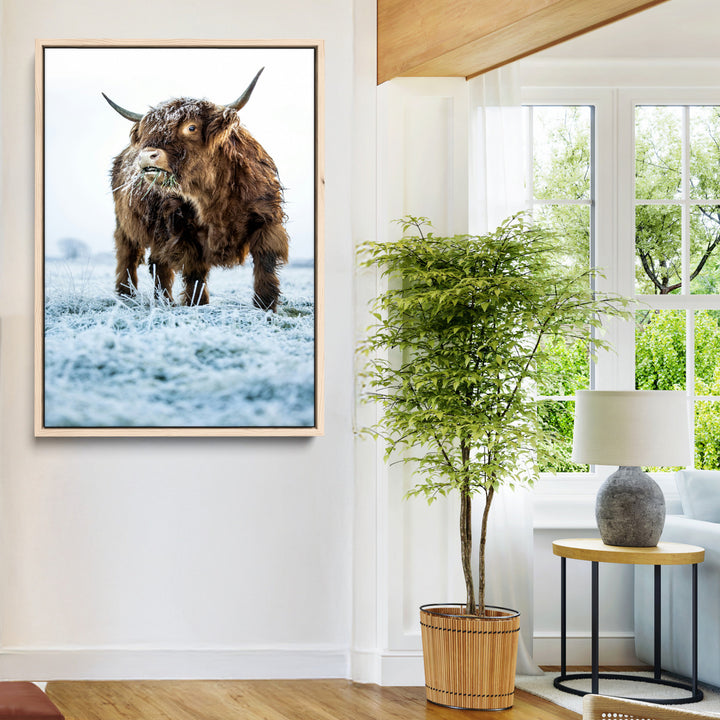 Minimalist Scottish Highlang Cow Wall Art Canvas Print for Farmhouse / County Style Art Print for Living Room - Office Decor