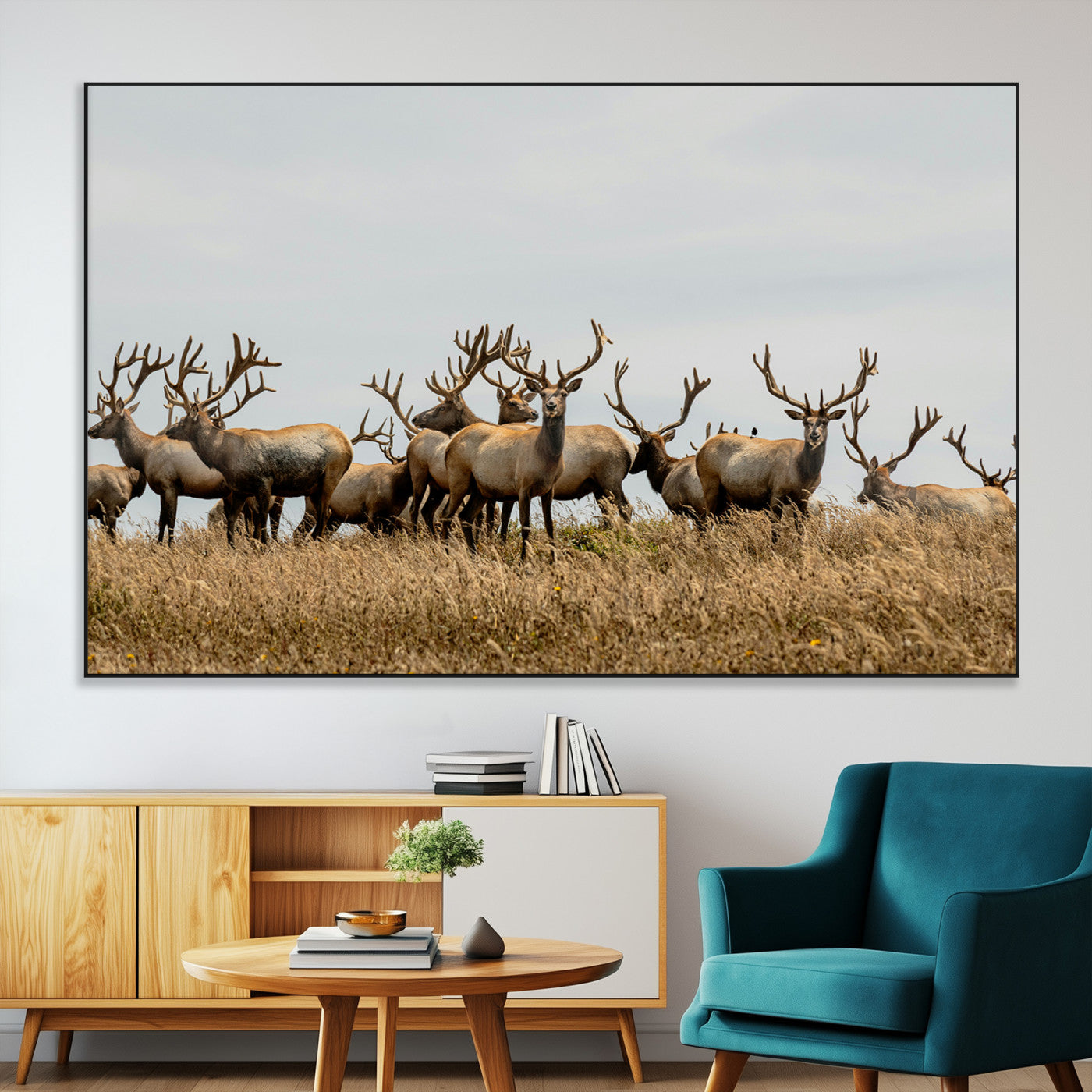 SEG-FC-51X34_Oversize - Elk Herd Wall Art Canvas Print, Framed Wildlife Photography Art Picture Print, Majestic Antlers Perfect Rustic Wildlife Decor Artwork