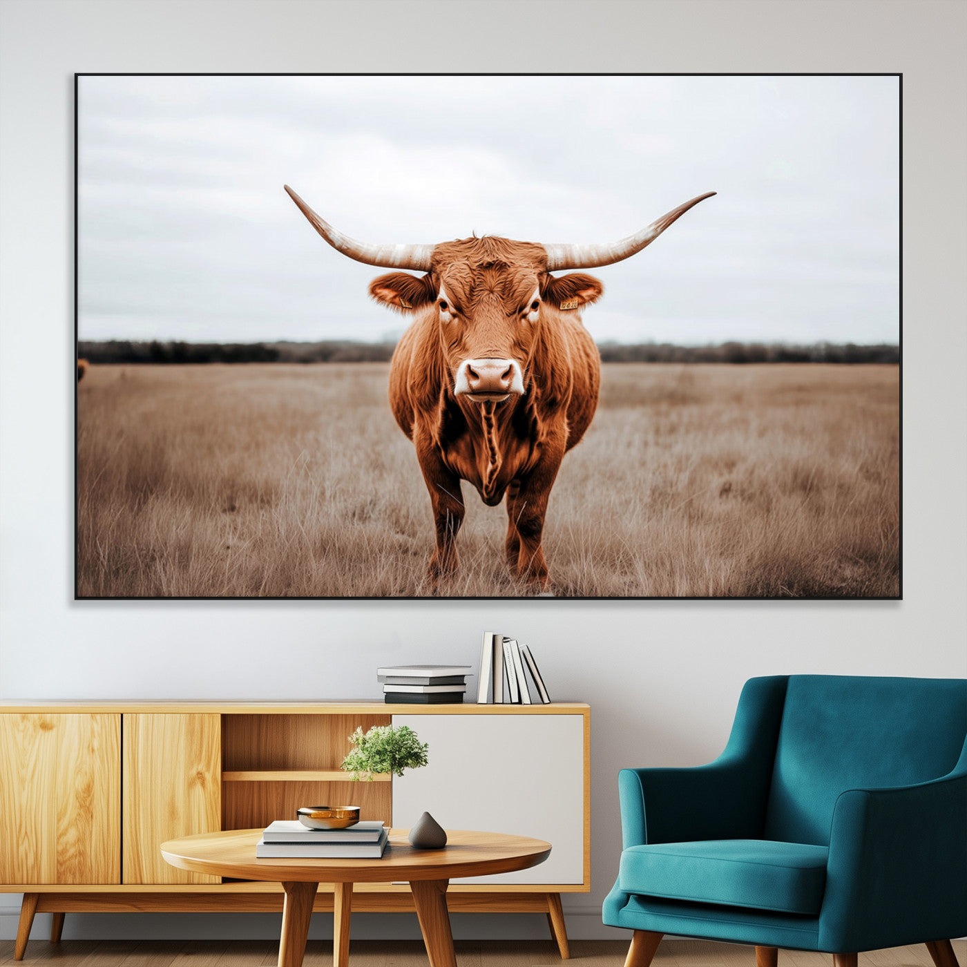 SEG-FC-51X34_Oversize - Longhorn bull, open field, rustic charm, natural beauty, Wall Art Canvas Print, countryside,