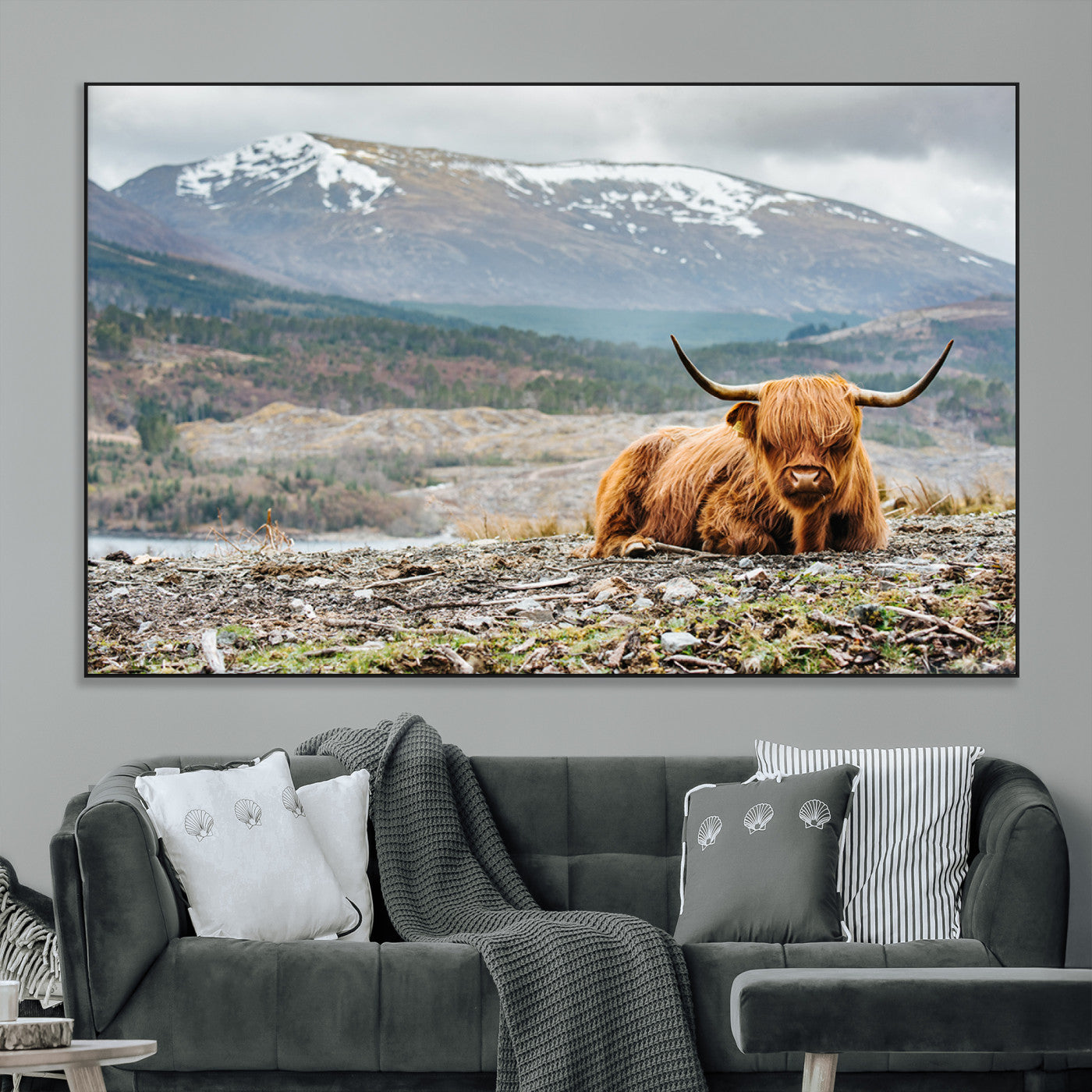 -Highland Cow Horn Farm Wall Art Canvas Print