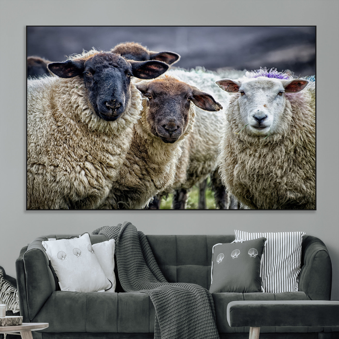 -Charming Sheep Portrait Wall Art – Trio of Woolly Companions Canvas Print, Framed, Ready to Hang