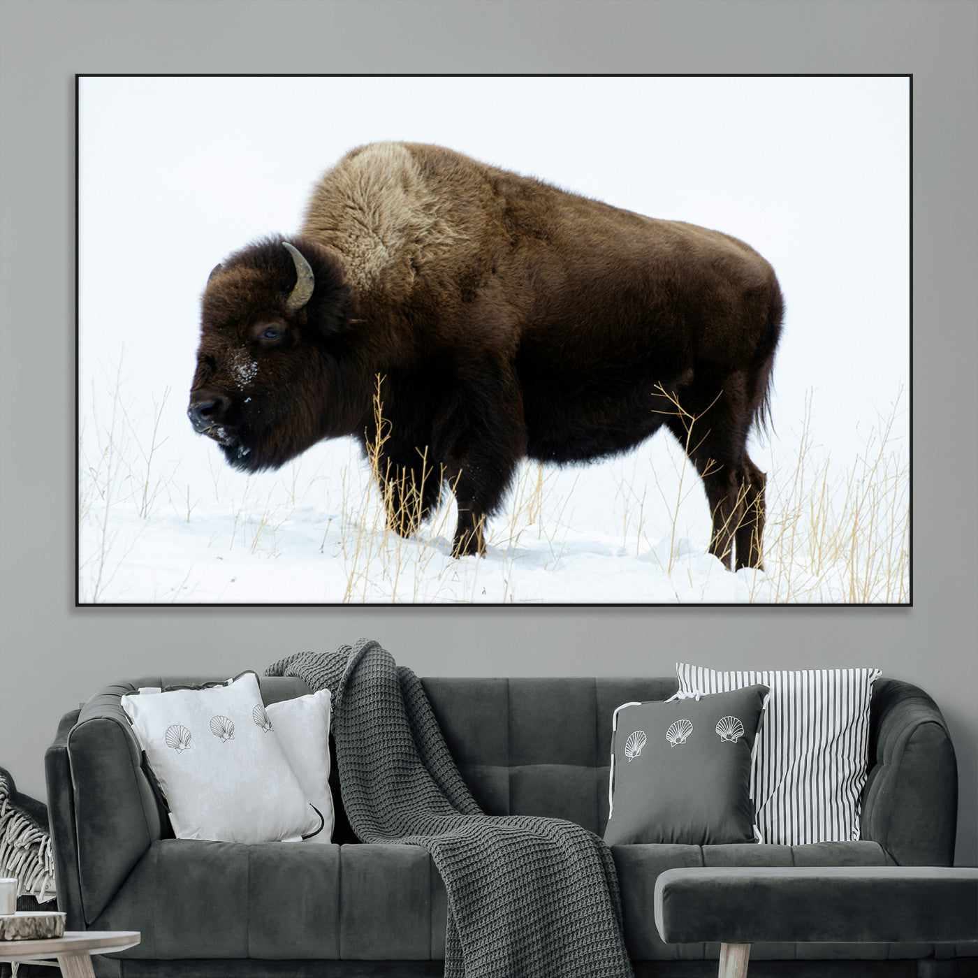 SEG-FC-51X34_Oversize - Bison Photography Wall Art Canvas Print, Framed Western Wildlife Art Picture Print, Buffalo On Snow Perfect Western Decor Artwork