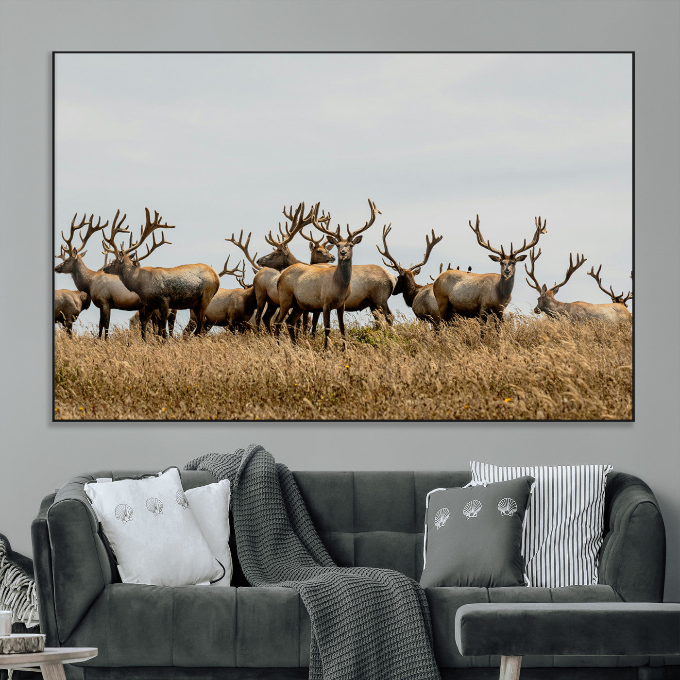 SEG-FC-51X34_Oversize - Elk Herd Wall Art Canvas Print, Framed Wildlife Photography Art Picture Print, Majestic Antlers Perfect Rustic Wildlife Decor Artwork