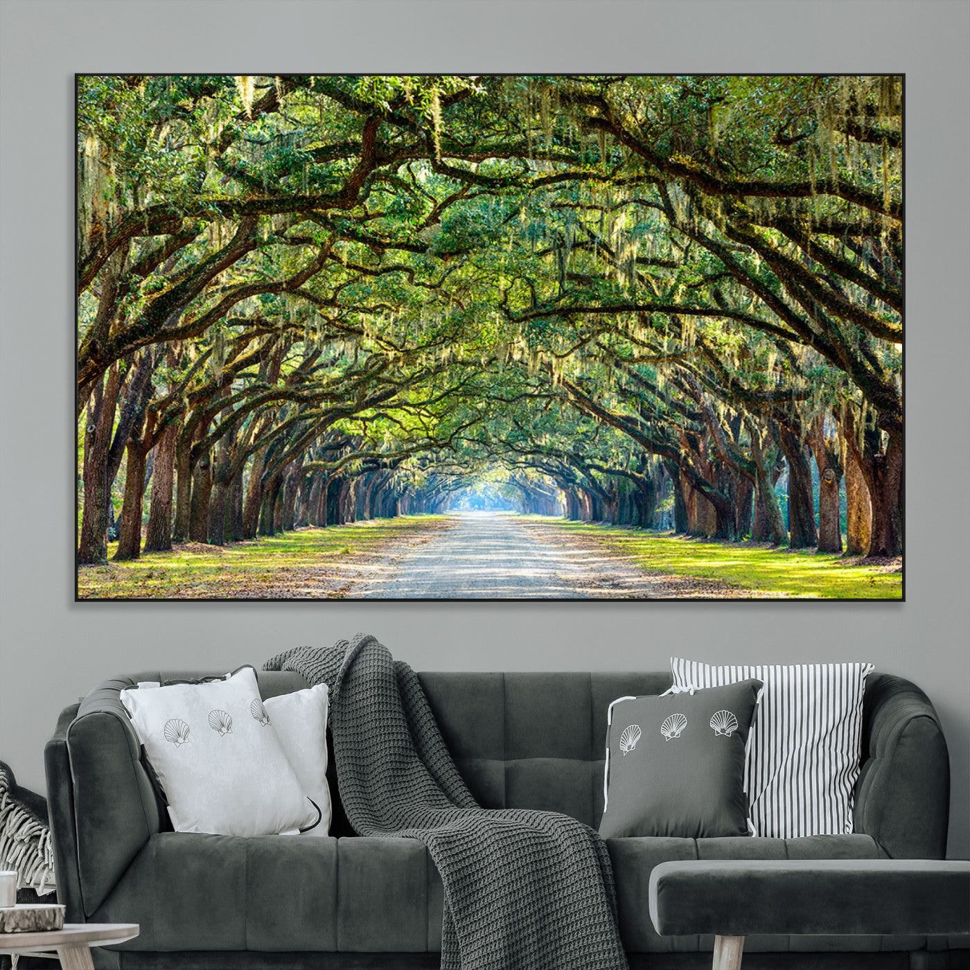 SEG-FC-51X34_Oversize - Wormsloe State Plantation Driveway Wall Art Canvas Print