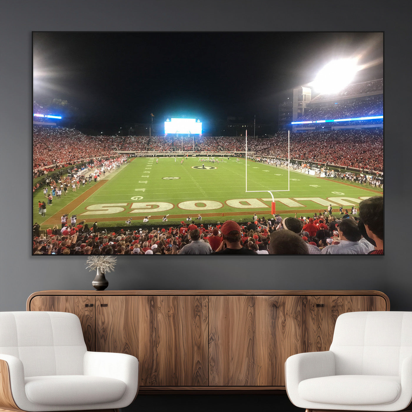 Dooley Stadium Wall Art Print, Sports Arena Canvas Wall Art, Panoramic Stadium Canvas Print, Modern Athletic Field Art Printing