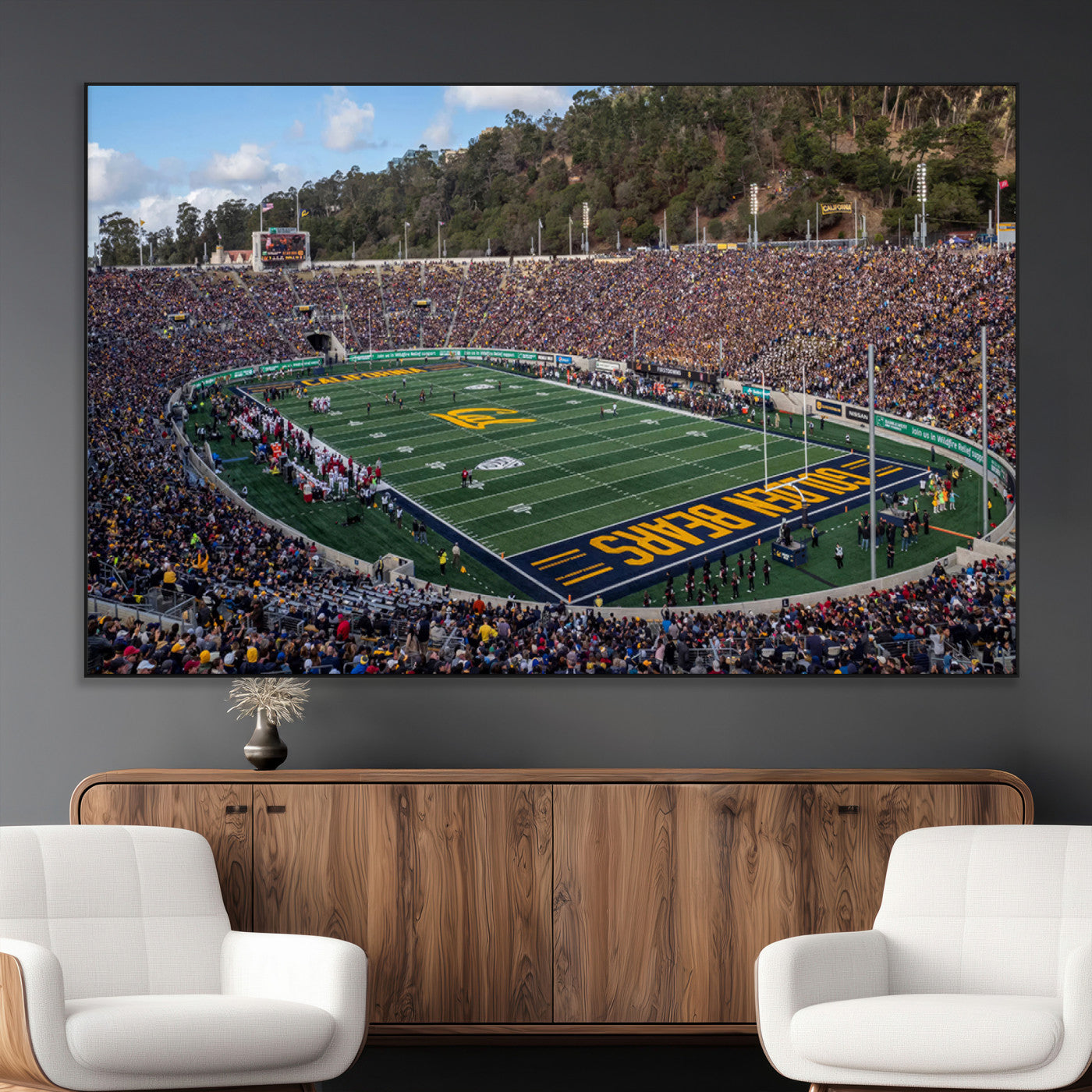 SEG-FC-51X34_Oversize - University of California Golden Bears Football Team Print - Berkeley California Memorial Stadium Art