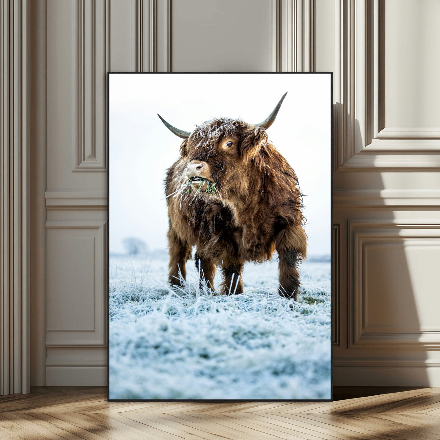 SEG-FC-51X34_Oversize - Minimalist Scottish Highlang Cow Wall Art Canvas Print for Farmhouse / County Style Art Print for