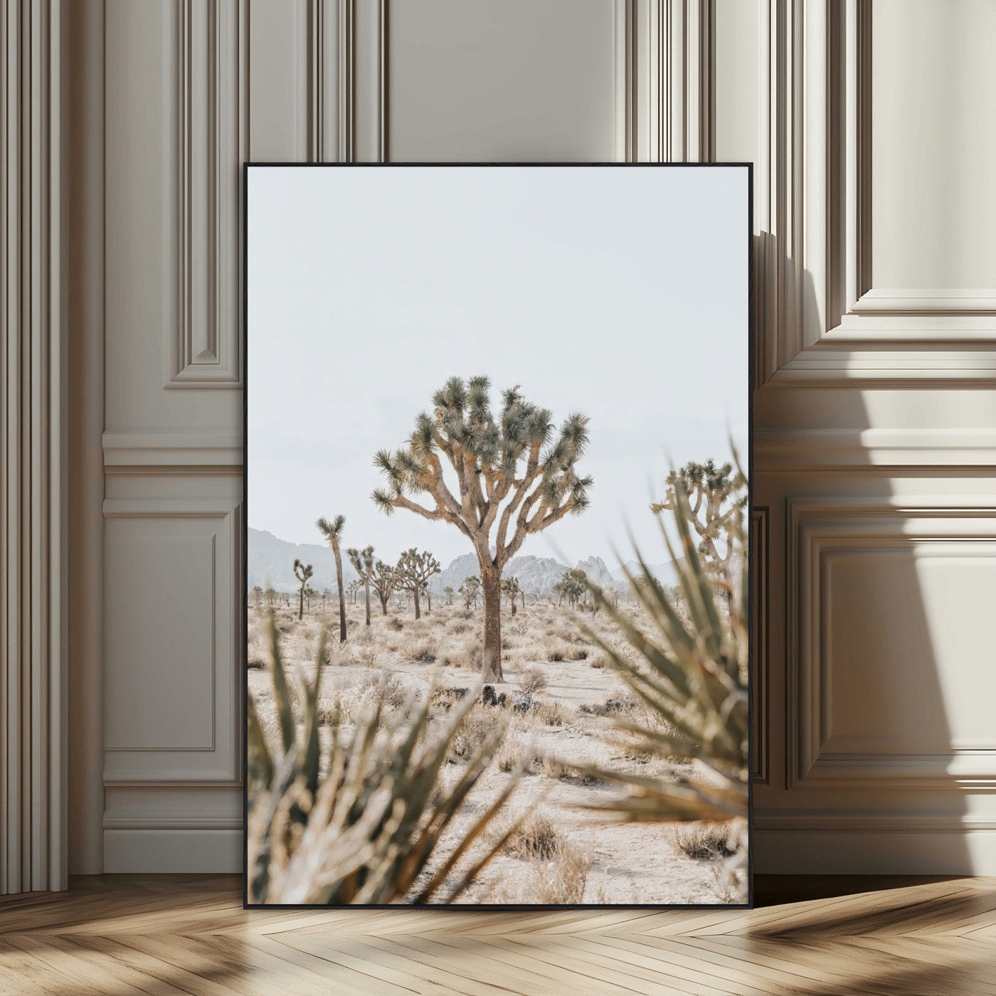 A wide desert landscape featuring multiple Joshua trees with spiky leaves and twisted branches, set against a pale sky and distant rocky hills. The foreground has blurred desert shrubs, emphasizing depth.