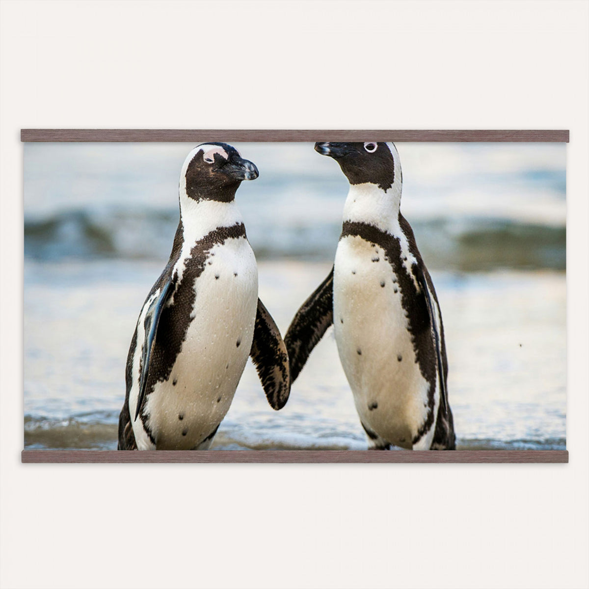 64870405-MGV-TP-30X20 - African Penguins Boulders Beach Wall Art Canvas Print, Cute Penguin Couple Photo Print