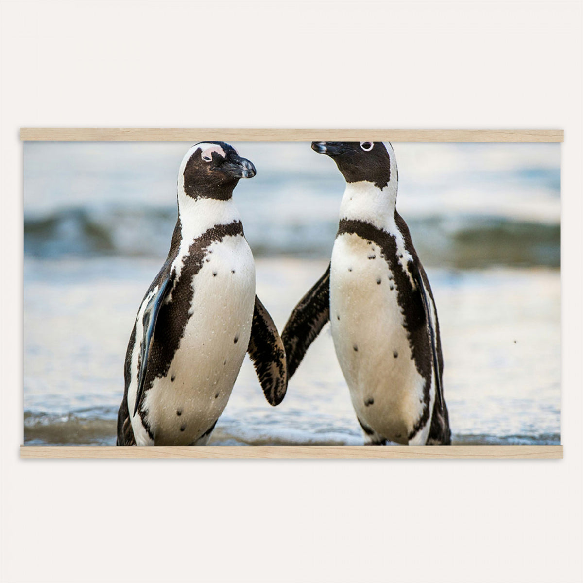 64870405-MGV-TP-30X20 - African Penguins Boulders Beach Wall Art Canvas Print, Cute Penguin Couple Photo Print