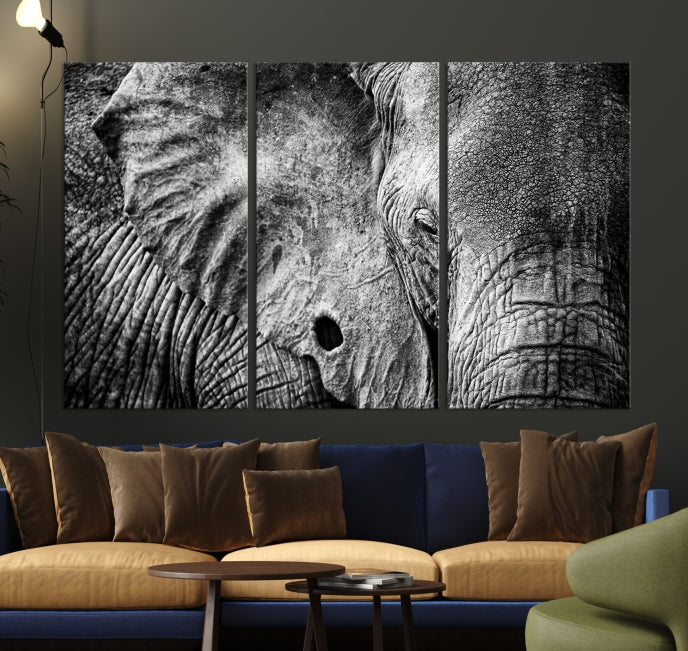 Wild Old Elephant Wall Art Canvas Print