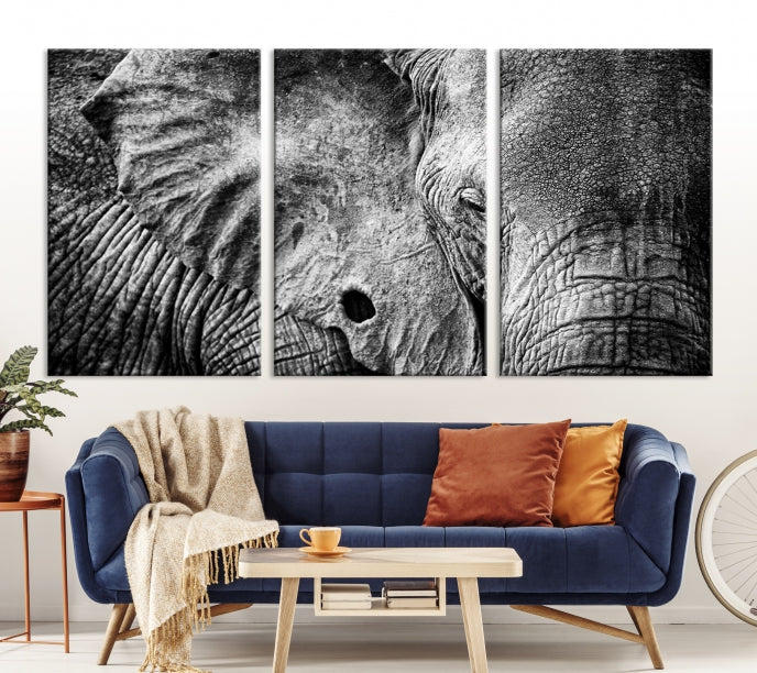 Wild Old Elephant Wall Art Canvas Print