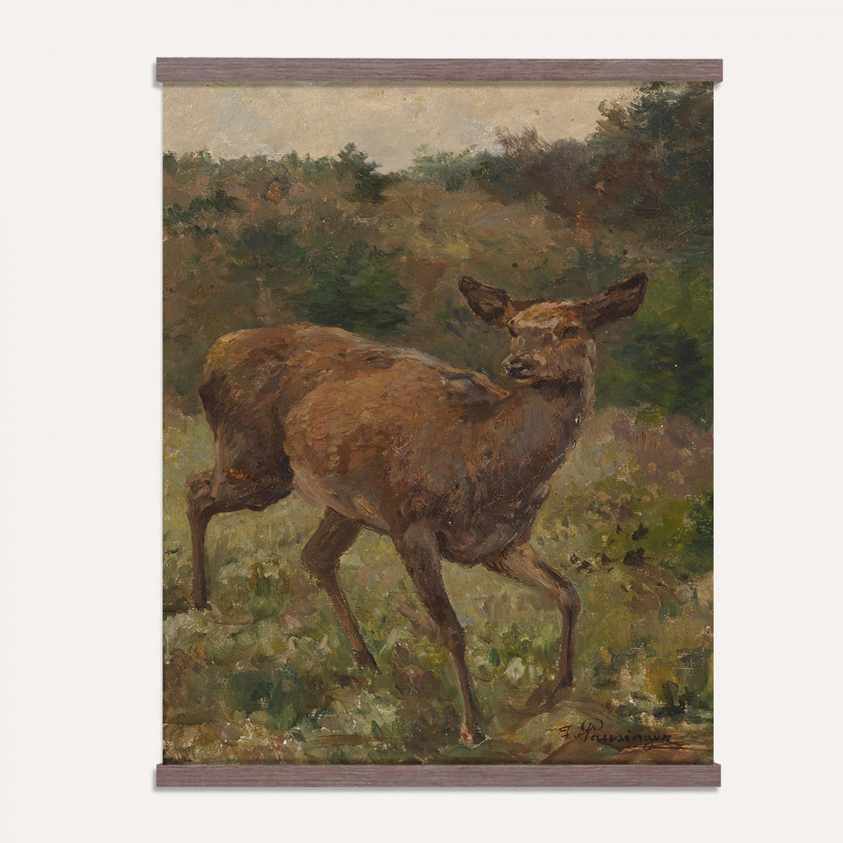 33154634-MGV-TP-24X36 - Realism oil painting tapestry wall hanging of "Rotwild" by Franz Xaver von Pausinger, showing a herd of red deer resting in a quiet clearing, tall grasses, and dark forest edges fading into soft light in warm russet deer coats against deep forest green and golden grass. Extra large wall art, made in the USA.