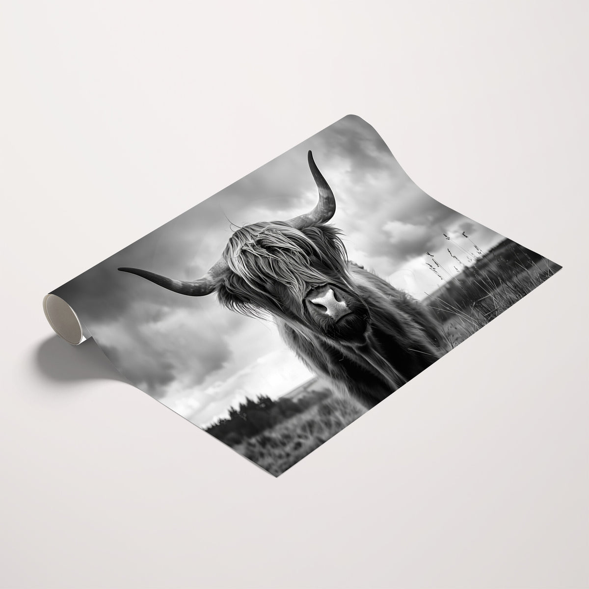 17924-_Poster-30x20 - Scottish Cow Wall Art Canvas Print, Longhorn Wall Art