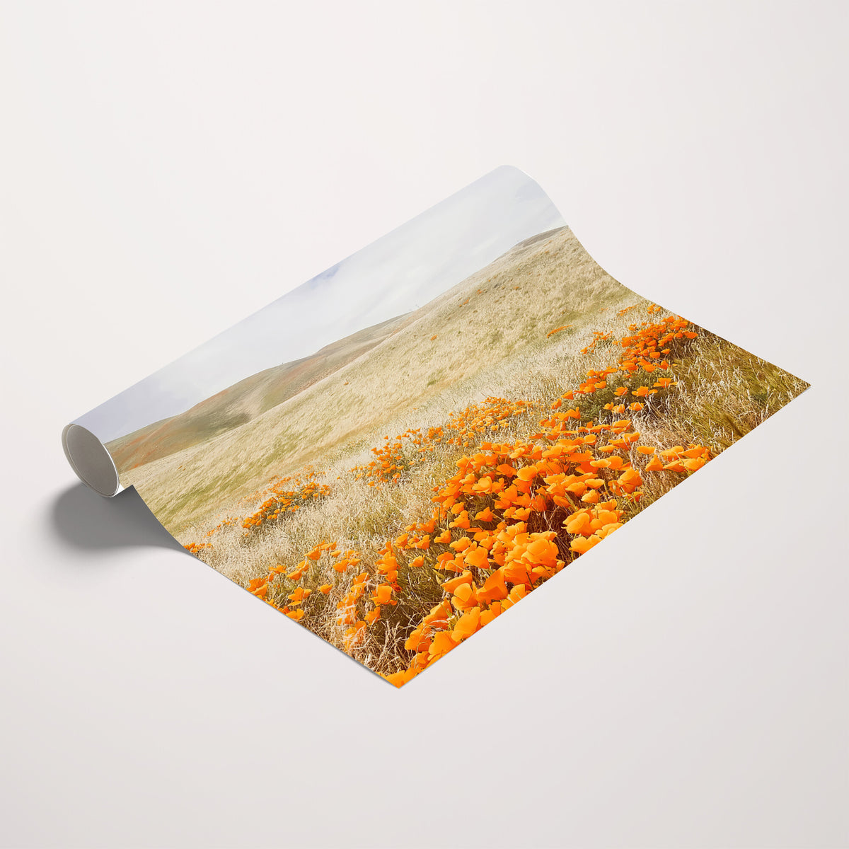 28972262-_Poster-30x20 - Golden Wildflowers Wall Art Canvas Print, Framed Hills and Poppy Meadow Scene