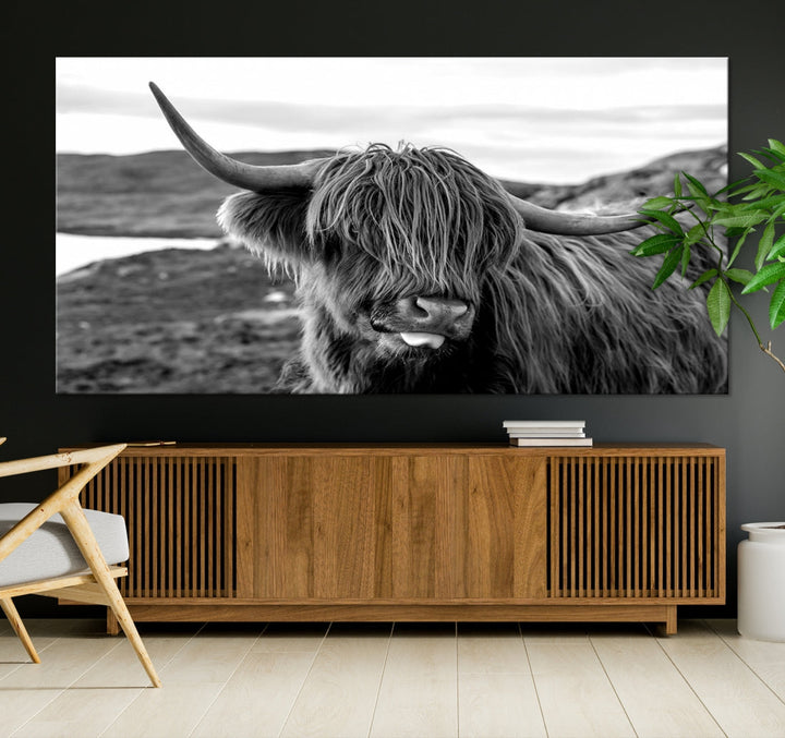 Scottish Highland Cow Cattle Art Print Farmhouse Wall Art Canvas Print