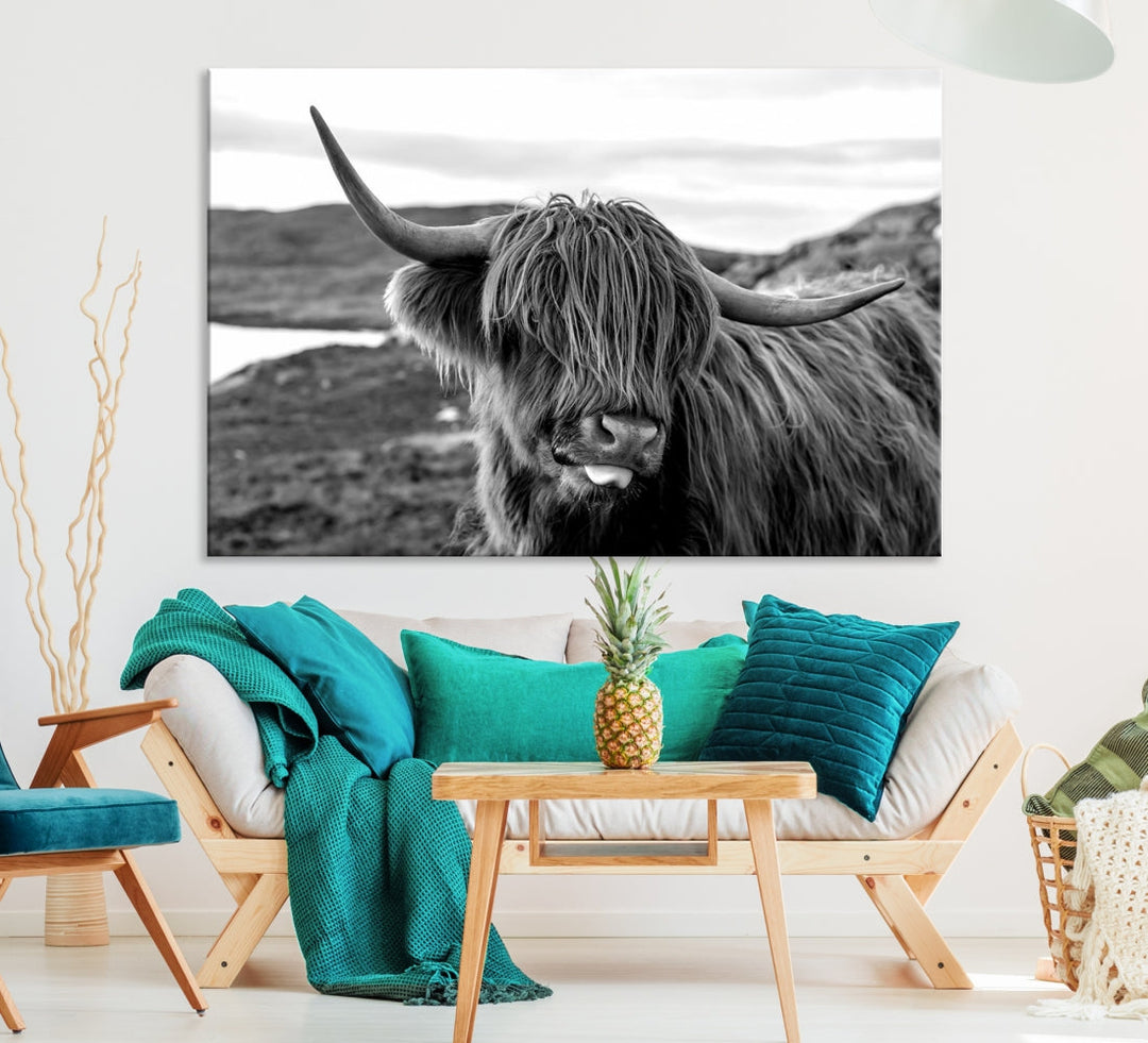 Scottish Highland Cow Cattle Art Print Farmhouse Wall Art Canvas Print