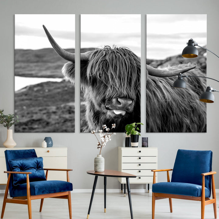 Scottish Highland Cow Cattle Art Print Farmhouse Wall Art Canvas Print