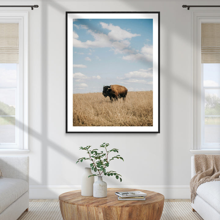 Bison Photography Wall Art Canvas Print: Framed Western Landscape Art