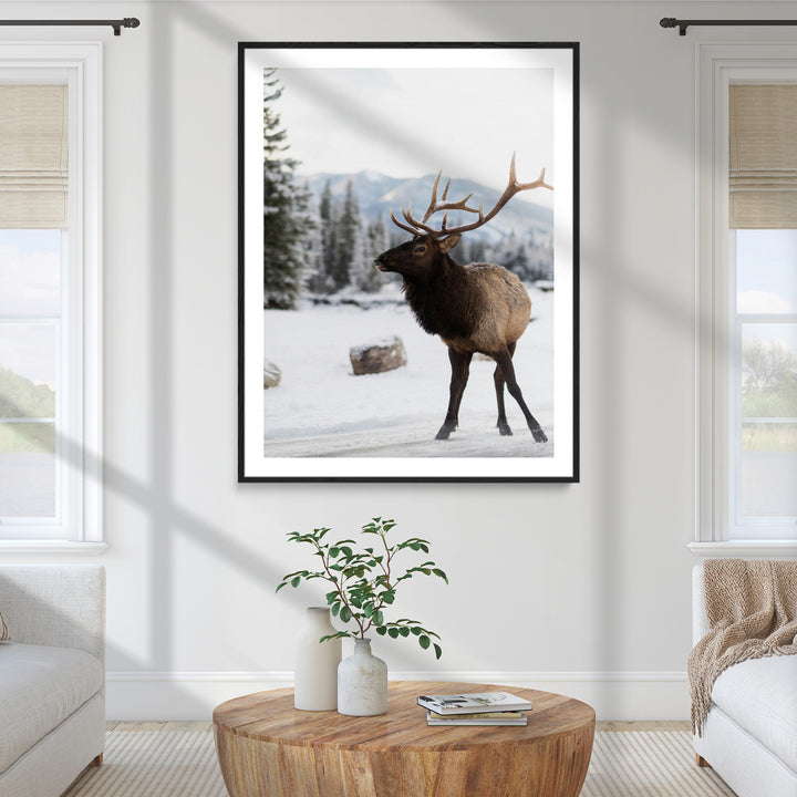 Elk Photography Wall Art Canvas Print, Framed Winter Wildlife Art Picture Print, Snowy Mountains Perfect Rustic Cabin Decor Decor Artwork