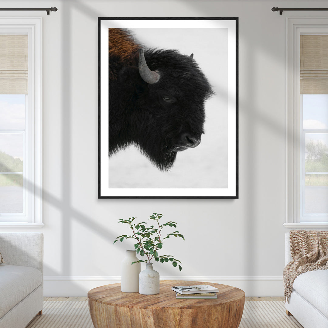 Western Rustic Wall Art Canvas Print, Framed Buffalo Photography Art Picture Print, Black and White Wildlife Perfect Modern Ranch Decor