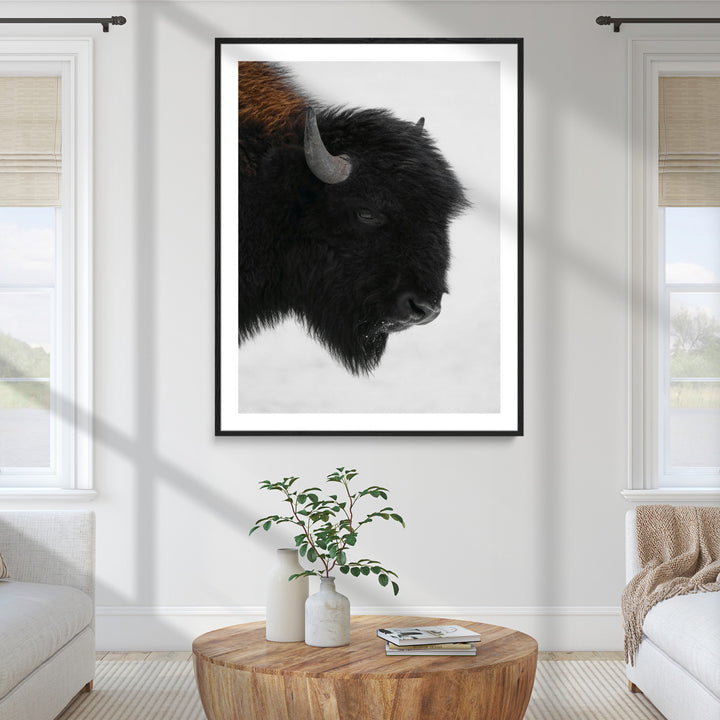 Western Rustic Wall Art Canvas Print, Framed Buffalo Photography Art Picture Print, Black and White Wildlife Perfect Modern Ranch Decor