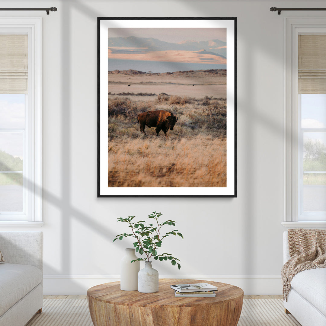 Solitary Buffalo Wall Art Canvas Print, Framed Golden Prairie Art Picture Print, Earthy Tones Perfect Rustic Western Decor Artwork