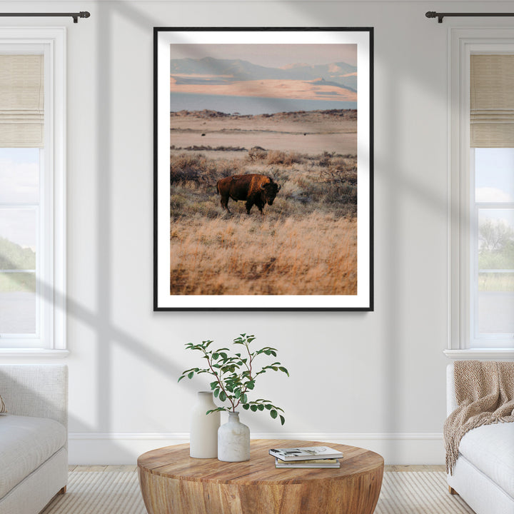Solitary Buffalo Wall Art Canvas Print, Framed Golden Prairie Art Picture Print, Earthy Tones Perfect Rustic Western Decor Artwork