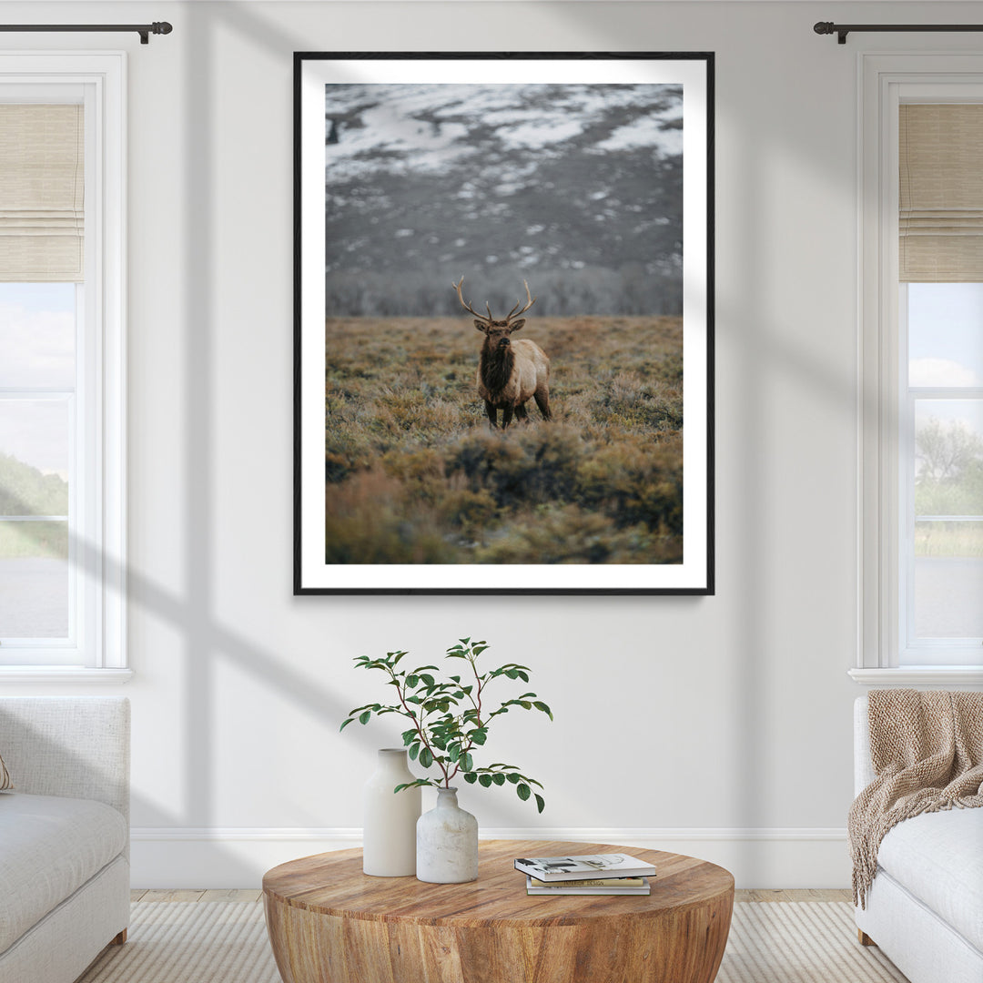 Wild Elk Wall Art Canvas Print, Mountain Wilderness Print, Framed Majestic Animal Art Print, Large Rustic Wildlife Wall Art Printing