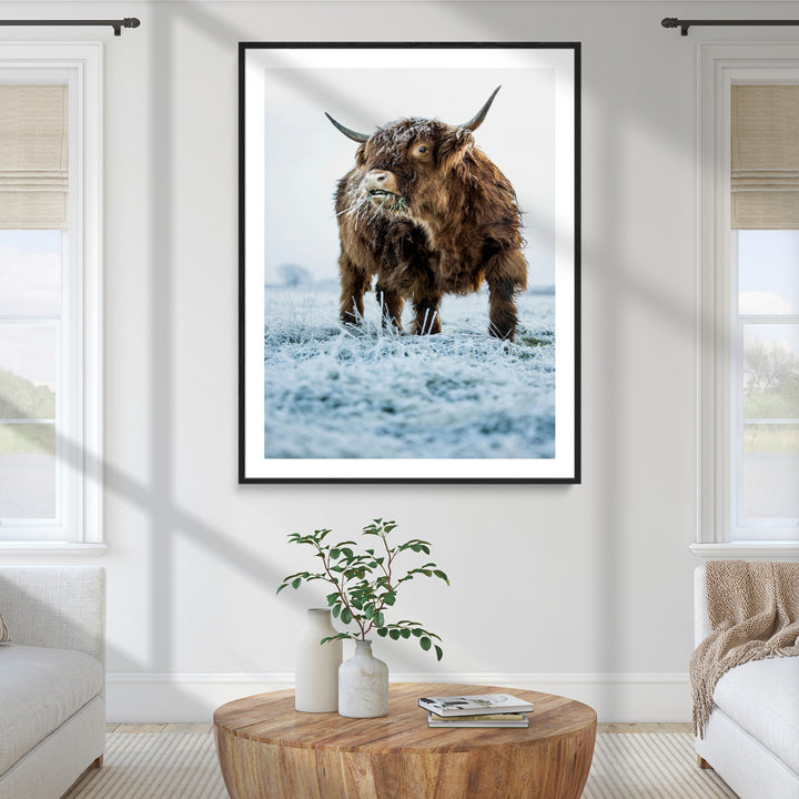 Minimalist Scottish Highlang Cow Wall Art Canvas Print for Farmhouse / County Style Art Print for Living Room - Office Decor