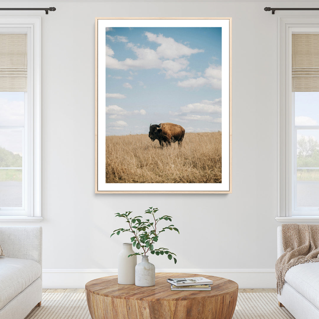 Bison Photography Wall Art Canvas Print: Framed Western Landscape Art