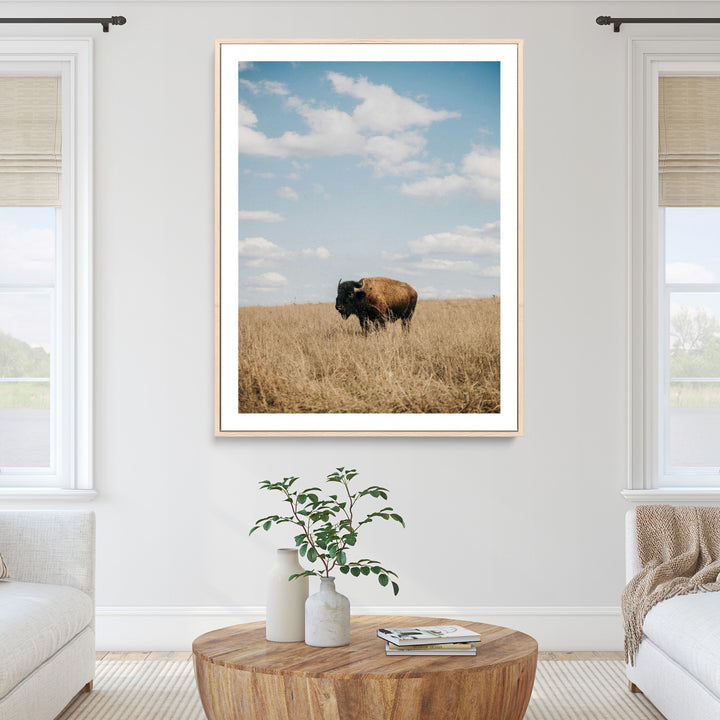 Bison Photography Wall Art Canvas Print: Framed Western Landscape Art