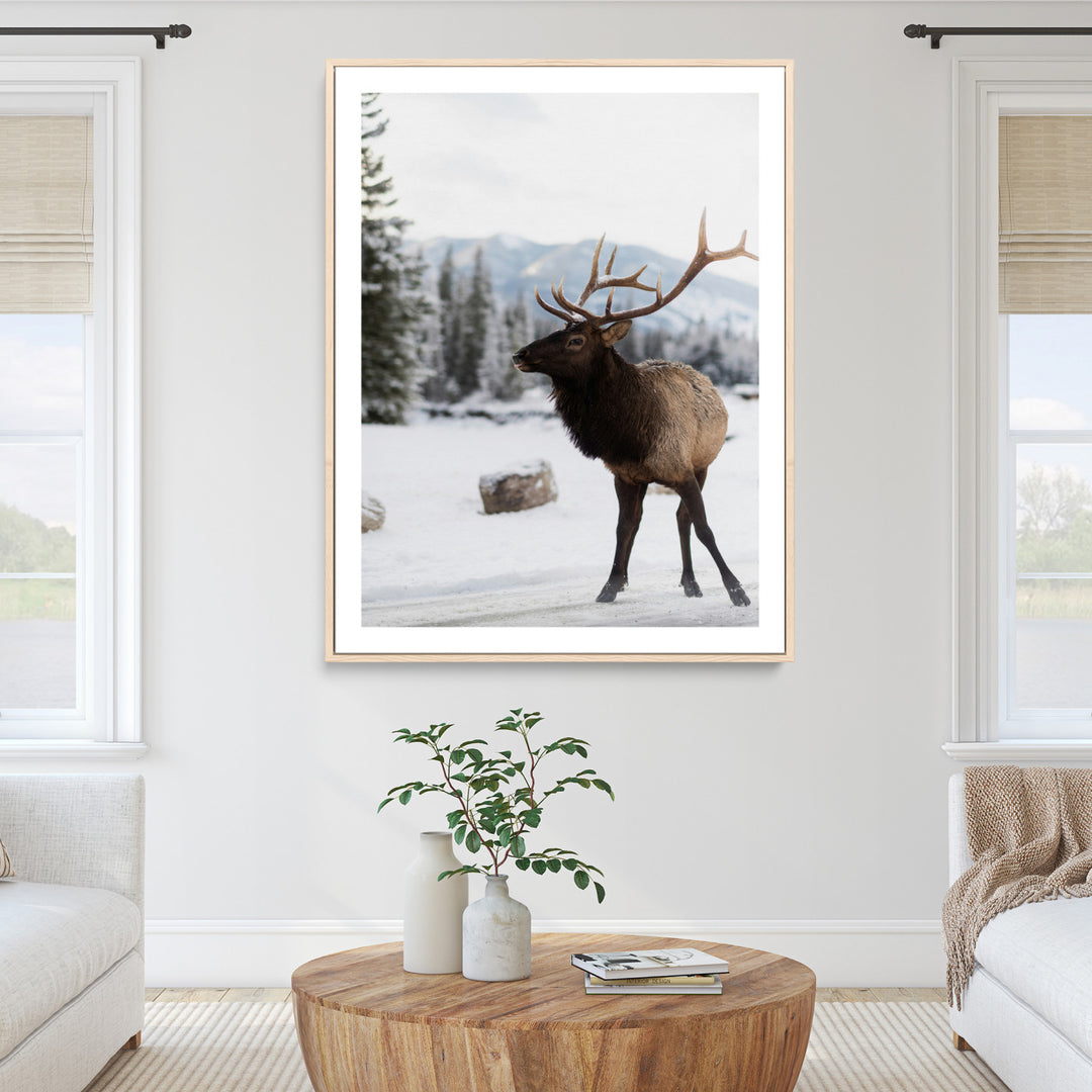 Elk Photography Wall Art Canvas Print, Framed Winter Wildlife Art Picture Print, Snowy Mountains Perfect Rustic Cabin Decor Decor Artwork