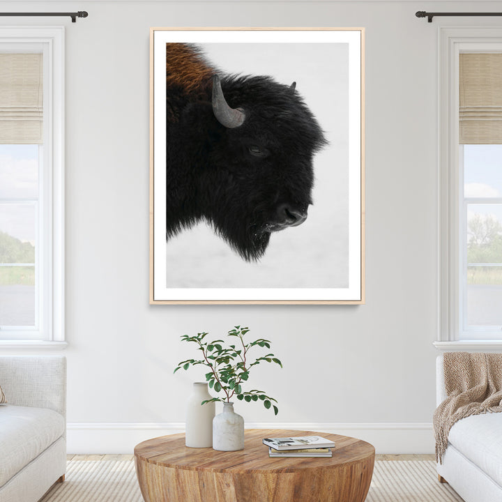Western Rustic Wall Art Canvas Print, Framed Buffalo Photography Art Picture Print, Black and White Wildlife Perfect Modern Ranch Decor