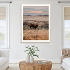 Solitary Buffalo Wall Art Canvas Print, Framed Golden Prairie Art Picture Print, Earthy Tones Perfect Rustic Western Decor Artwork