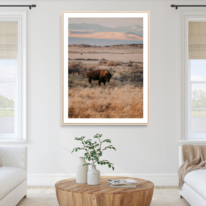 Solitary Buffalo Wall Art Canvas Print, Framed Golden Prairie Art Picture Print, Earthy Tones Perfect Rustic Western Decor Artwork