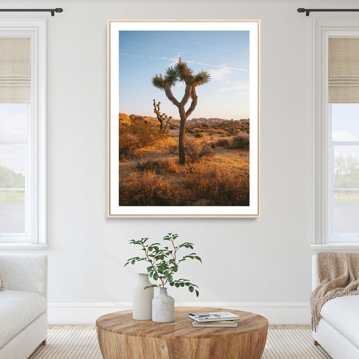 Framed Joshua Tree Print, Golden Hour Desert Print, Framed Sunset Glow Art Print, Large Arid Terrain Printing Southwestern