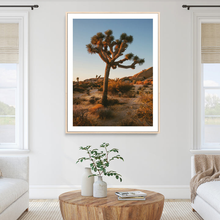 Joshua Tree Artwork Canvas Print, Desert Sunset Print, Framed Golden Hour Light Art Print, Large Southwestern Landscape Printing, Framed