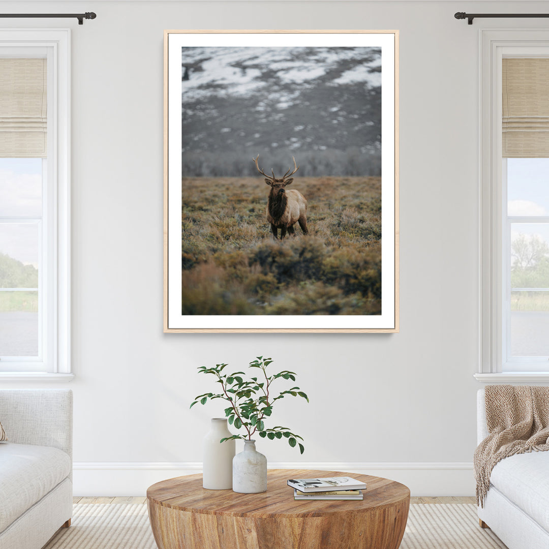 Wild Elk Wall Art Canvas Print, Mountain Wilderness Print, Framed Majestic Animal Art Print, Large Rustic Wildlife Wall Art Printing