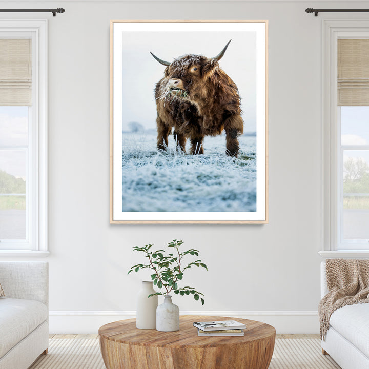 Minimalist Scottish Highlang Cow Wall Art Canvas Print for Farmhouse / County Style Art Print for Living Room - Office Decor